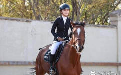 大陆老熟女嗷嗷叫AV在线